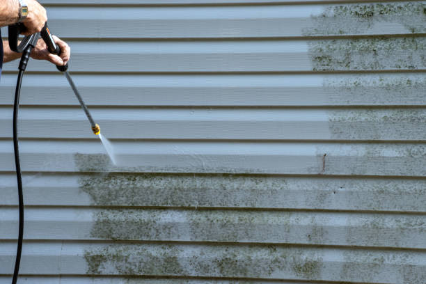  Corning, NY Junk Removal Pros