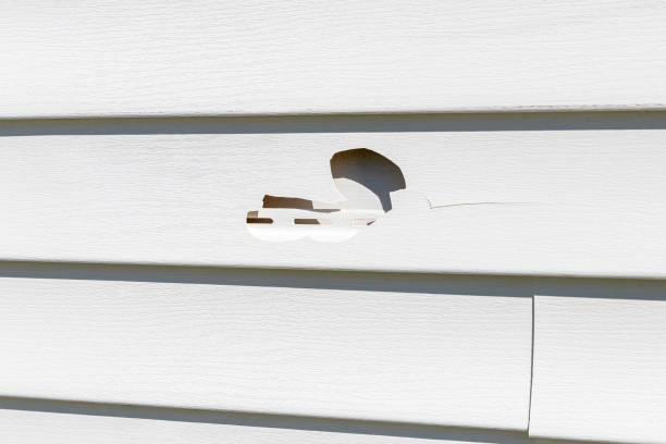Shed Removal in Corning, NY